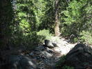 photo thumbnail #3