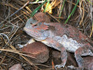 photo thumbnail #2