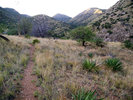photo thumbnail #6