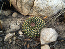 photo thumbnail #8