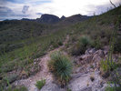 photo thumbnail #7