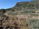 photo thumbnail #11