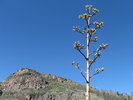 photo thumbnail #15