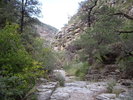 photo thumbnail #12