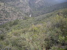 photo thumbnail #15