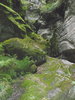 photo thumbnail #15