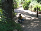 photo thumbnail #1
