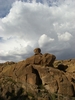 photo thumbnail #7