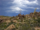 photo thumbnail #15