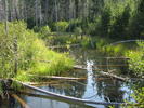 photo thumbnail #10