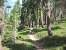 photo thumbnail #1