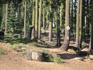 photo thumbnail #2