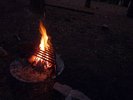 photo thumbnail #14