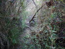 photo thumbnail #15