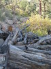 photo thumbnail #2