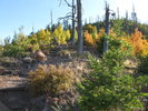photo thumbnail #10