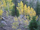 photo thumbnail #13
