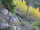 photo thumbnail #14