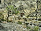 photo thumbnail #9