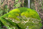 photo thumbnail #14