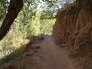 photo thumbnail #6
