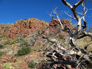 photo thumbnail #6
