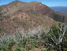 photo thumbnail #13