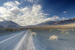 photo thumbnail #10