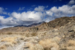 photo thumbnail #11
