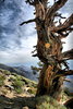 photo thumbnail #15