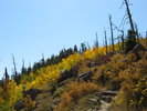 photo thumbnail #3