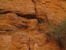 photo thumbnail #15