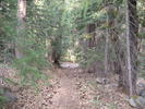 photo thumbnail #2