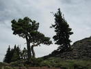 photo thumbnail #7