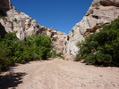 photo thumbnail #1