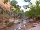 photo thumbnail #6