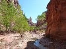 photo thumbnail #8