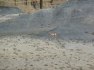 photo thumbnail #12