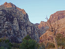 photo thumbnail #2
