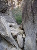 photo thumbnail #7