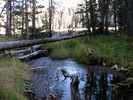 photo thumbnail #9