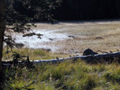 photo thumbnail #11