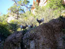 photo thumbnail #12