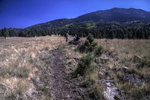 photo thumbnail #1