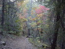 photo thumbnail #4