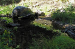 photo thumbnail #10
