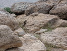 photo thumbnail #13