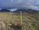 photo thumbnail #3
