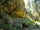 photo thumbnail #12