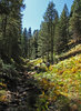 photo thumbnail #13